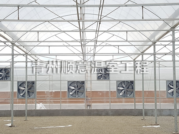 风机水帘降温系统