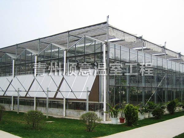 阳光板温室