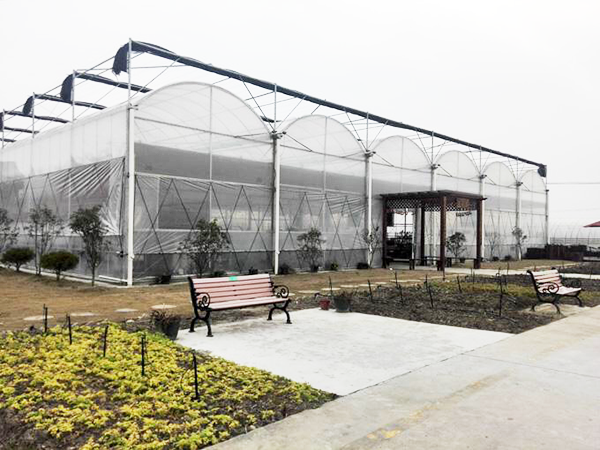 连栋薄膜温室