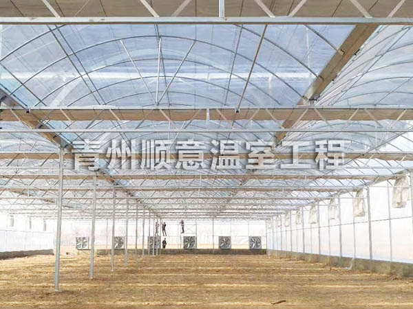 连栋薄膜温室