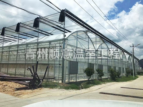 连栋薄膜温室