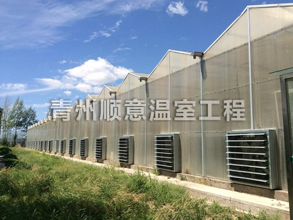 连栋薄膜温室