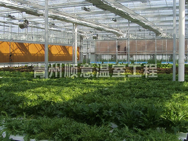 智能温室大棚