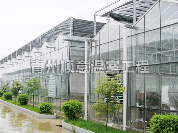 智能温室大棚