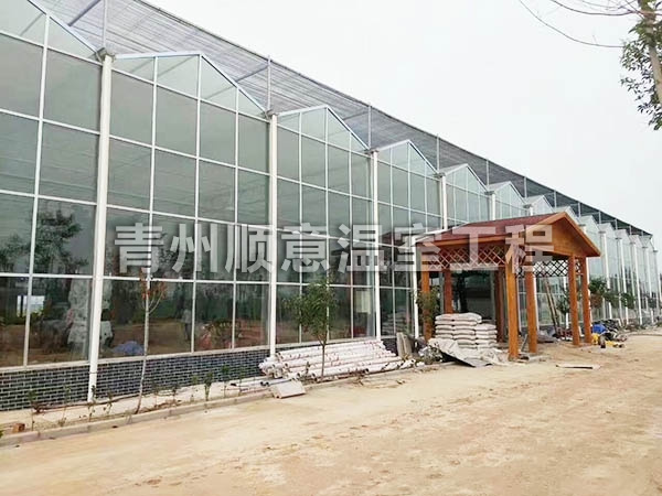 玻璃温室大棚