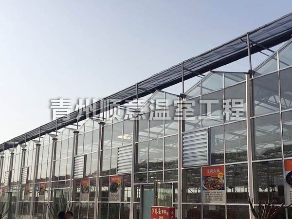 玻璃温室大棚