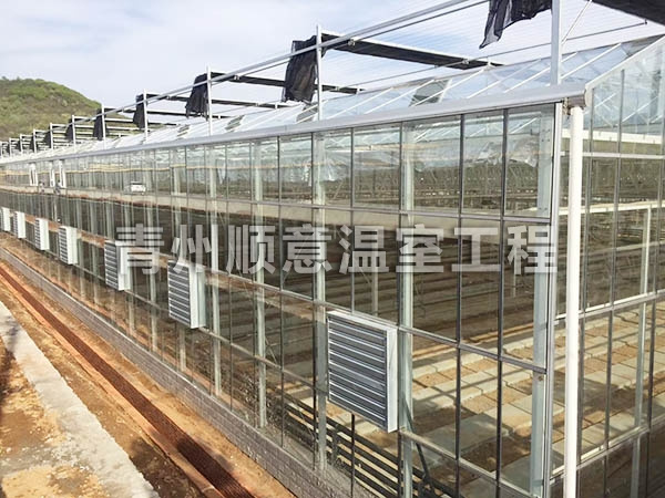 玻璃温室大棚