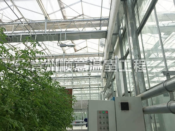 玻璃温室大棚