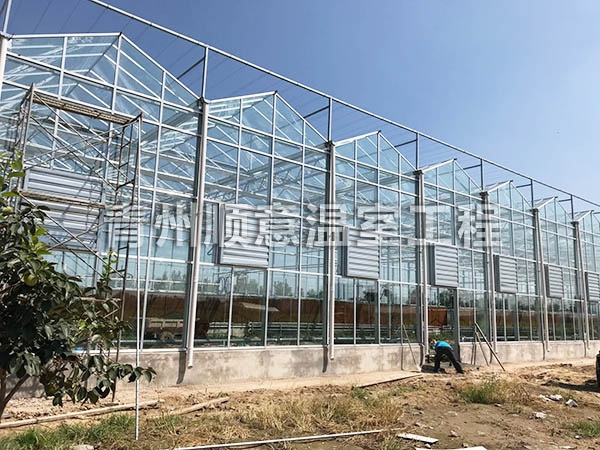 玻璃温室大棚