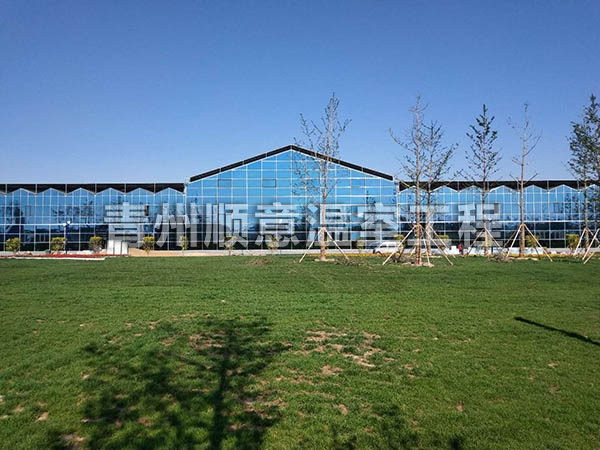 玻璃温室大棚