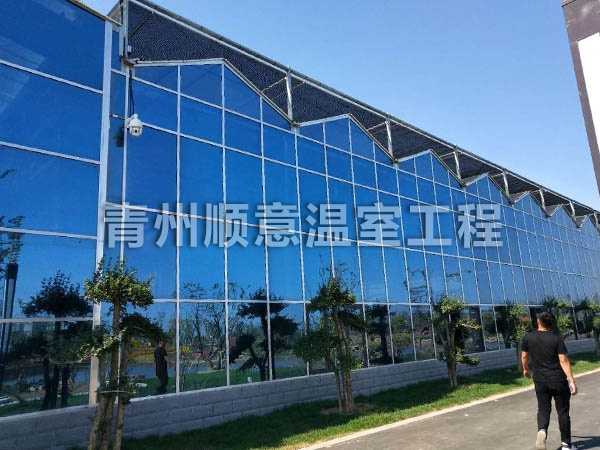 玻璃温室大棚
