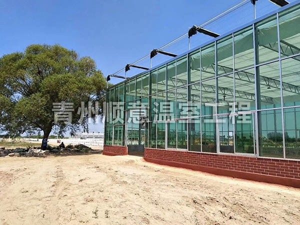 玻璃温室大棚