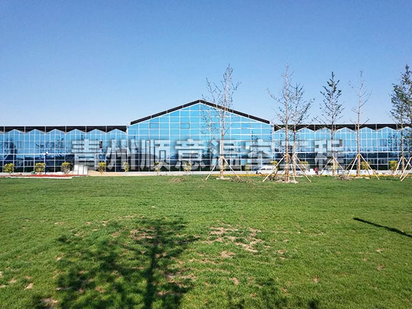 陕西田园综合体玻璃大棚
