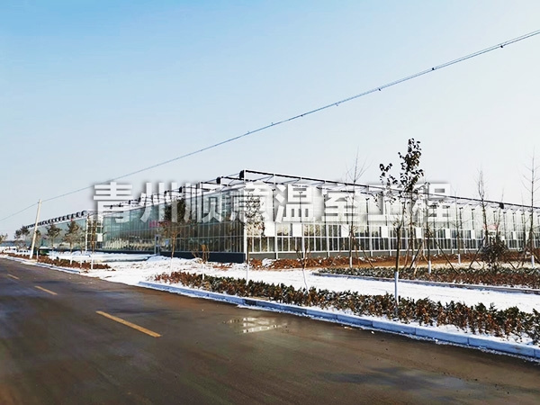 内蒙古玻璃温室大棚