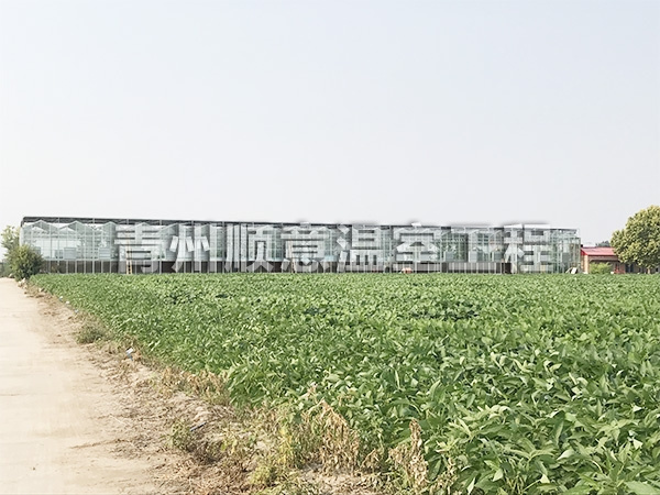 河北保定科研温室