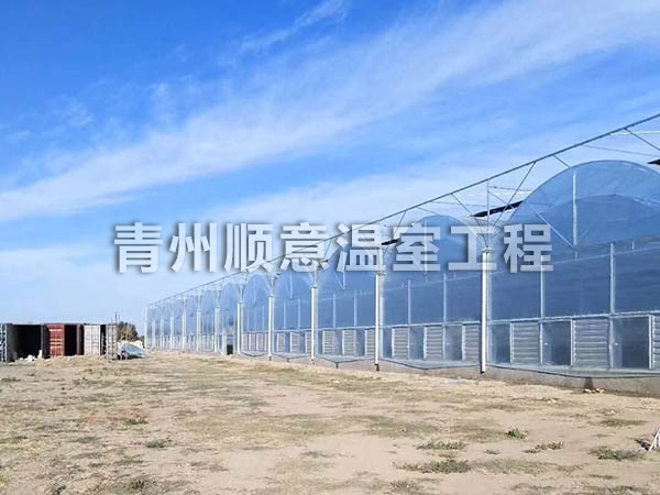 连栋薄膜温室工程简介