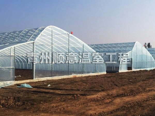 日光温室的采光设计