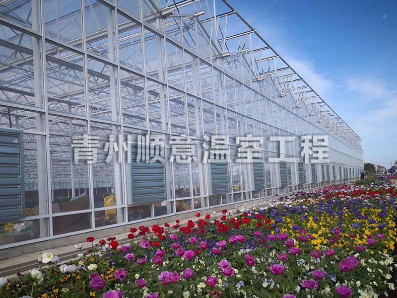 玻璃温室大棚