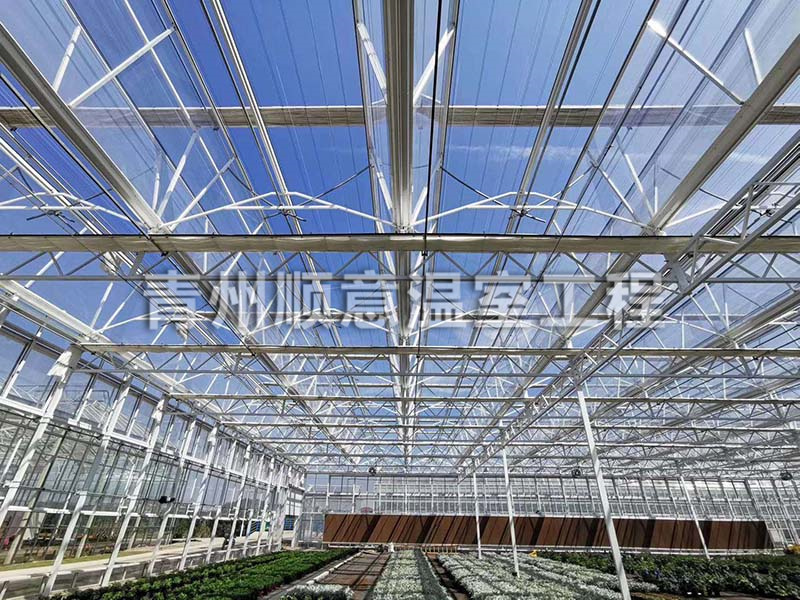 玻璃温室大棚
