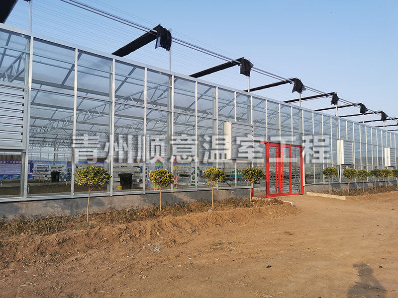 玻璃温室大棚