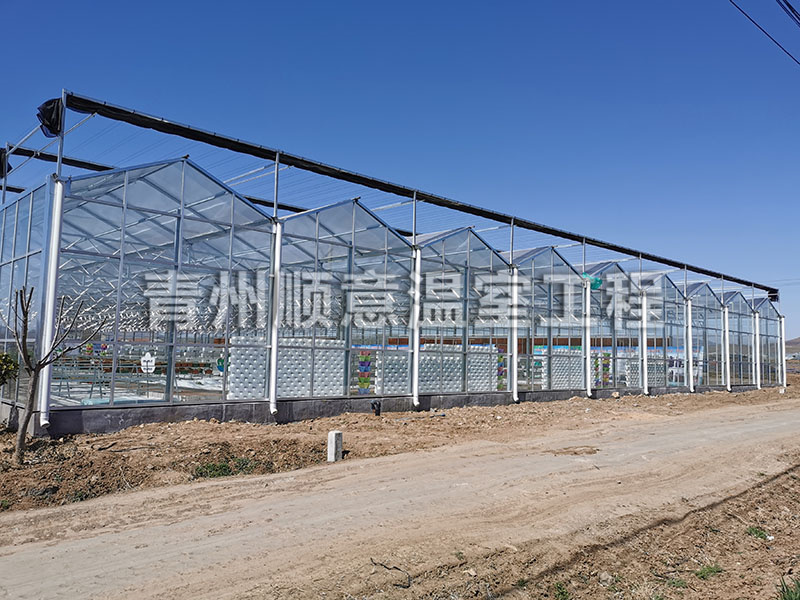 玻璃温室大棚