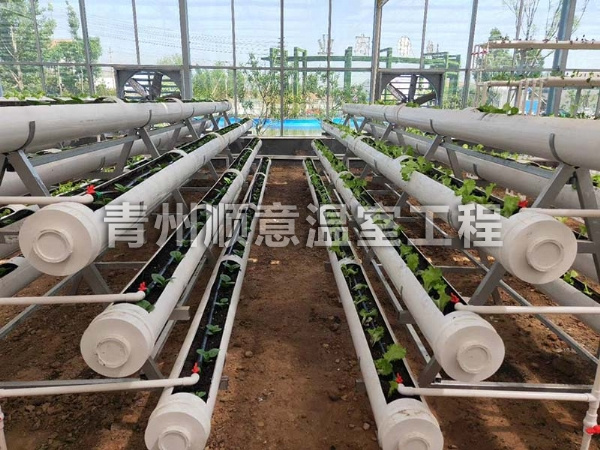 无土栽培（水培、基质栽培)