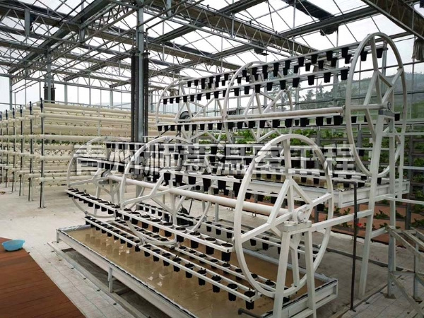 无土栽培（水培、基质栽培)