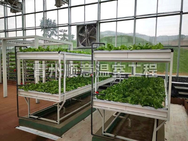 无土栽培（水培、基质栽培)