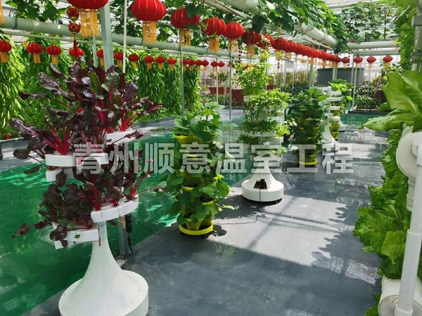 无土栽培（水培、基质栽培)