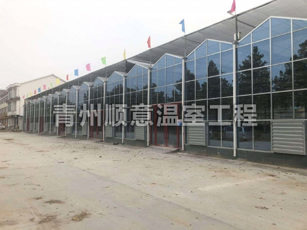 玻璃温室大棚