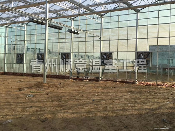 玻璃温室大棚
