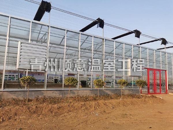 玻璃温室大棚
