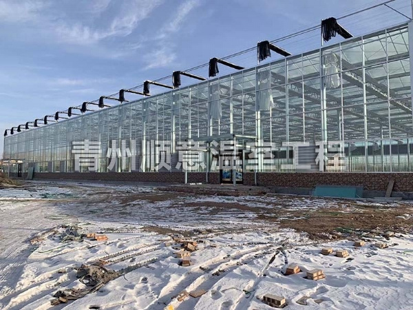 玻璃温室大棚