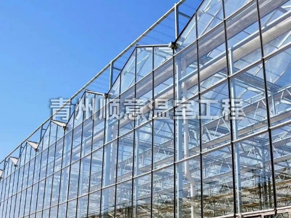 玻璃温室大棚