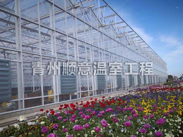 玻璃温室大棚