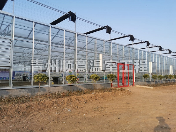 玻璃温室大棚