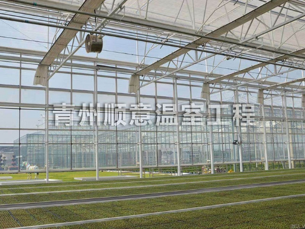 玻璃温室大棚 (4)