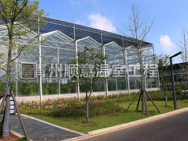 玻璃温室大棚