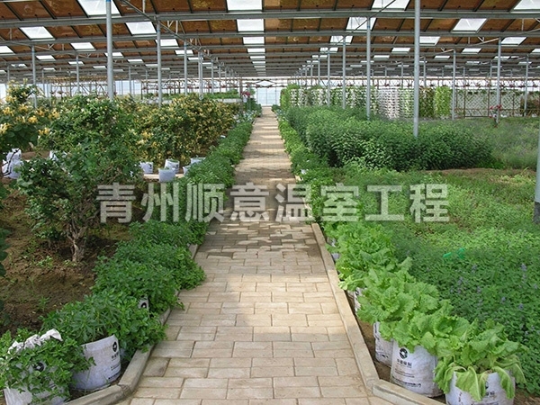 日光温室大棚规模如何选择？