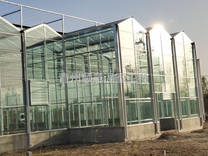 玻璃温室大棚