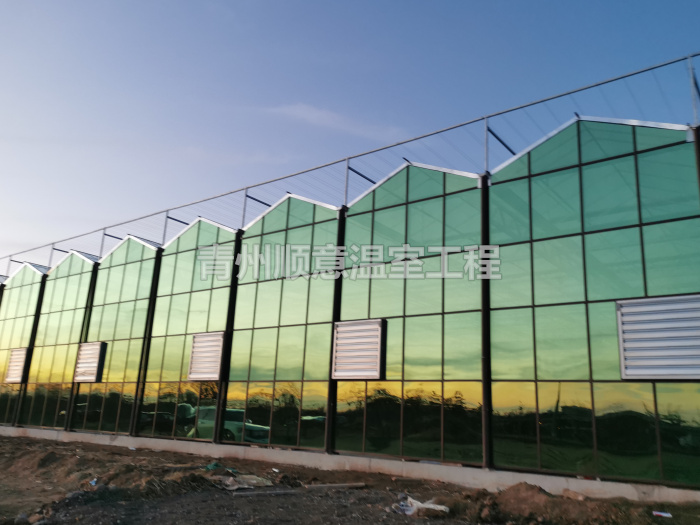 玻璃温室大棚