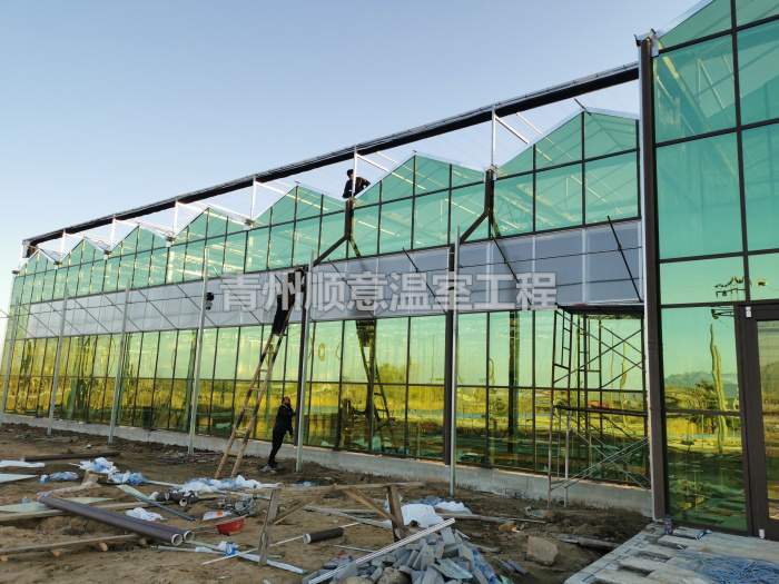 玻璃温室大棚