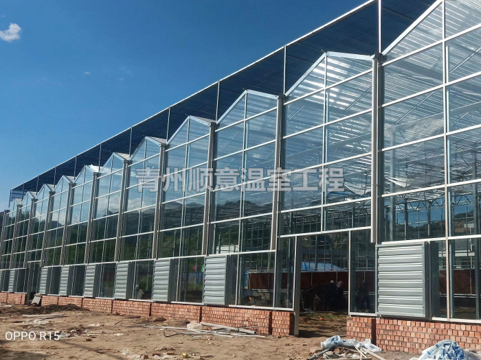 玻璃温室大棚
