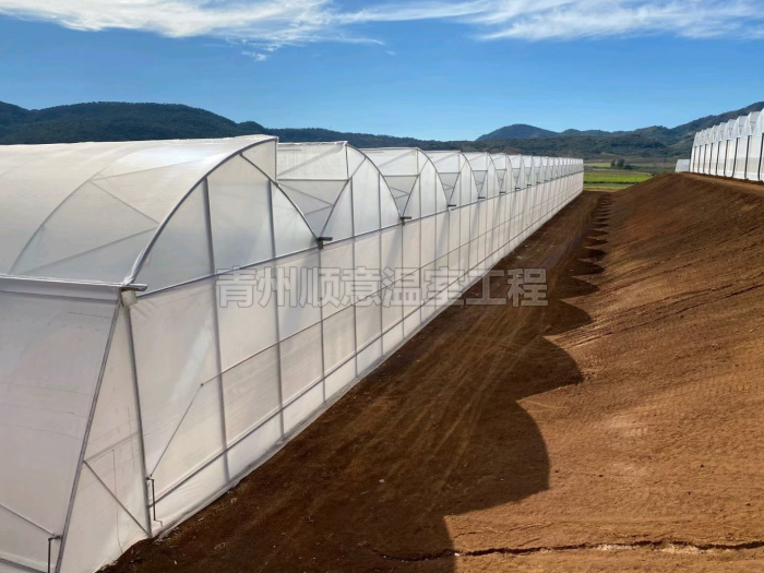 连栋薄膜温室
