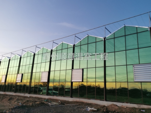 玻璃温室大棚