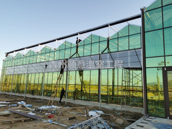 玻璃温室大棚