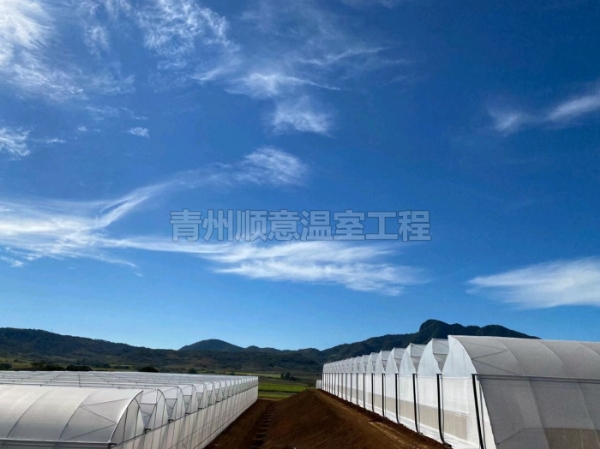 连栋薄膜温室