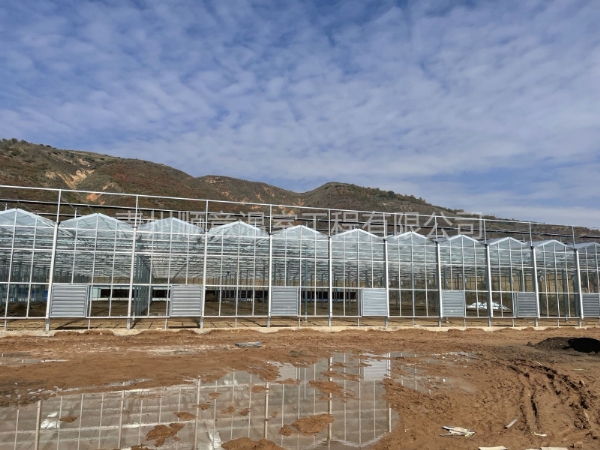 宁夏阳光板玻璃温室