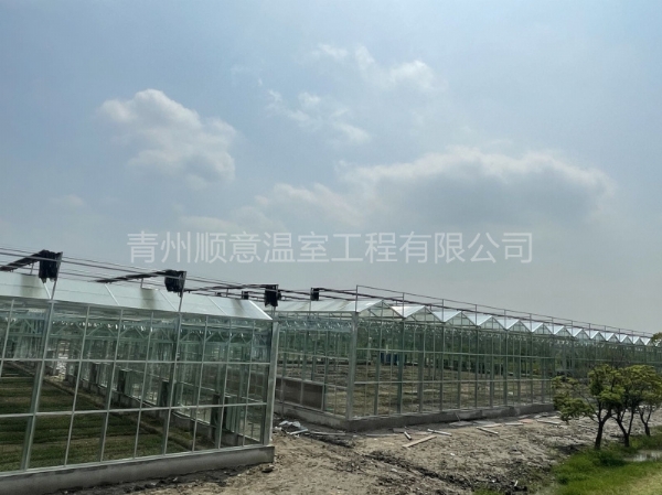 上海连栋玻璃温室