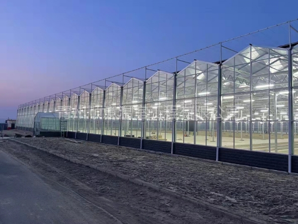 新疆育苗玻璃温室